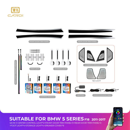 CARDI AMBIENT KIT FOR BMW F10